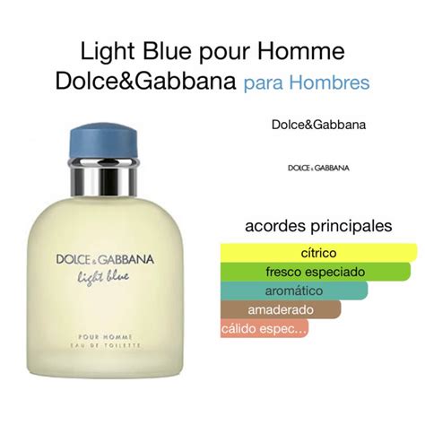 light blue dolce gabbana mujer notas|dolce gabbana light blue precios.